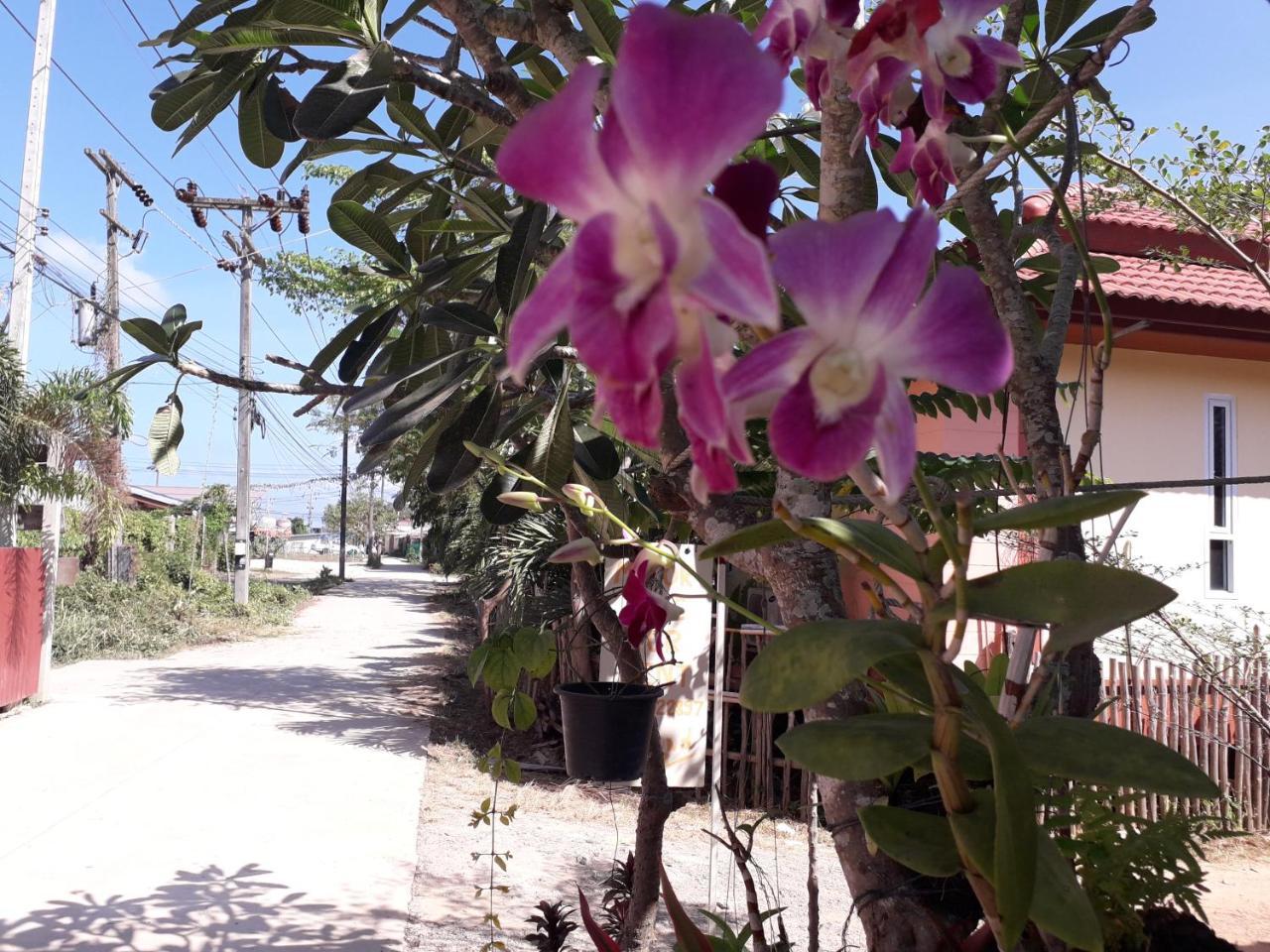 Lanta Lucky House Hotel Ko Lanta Eksteriør billede