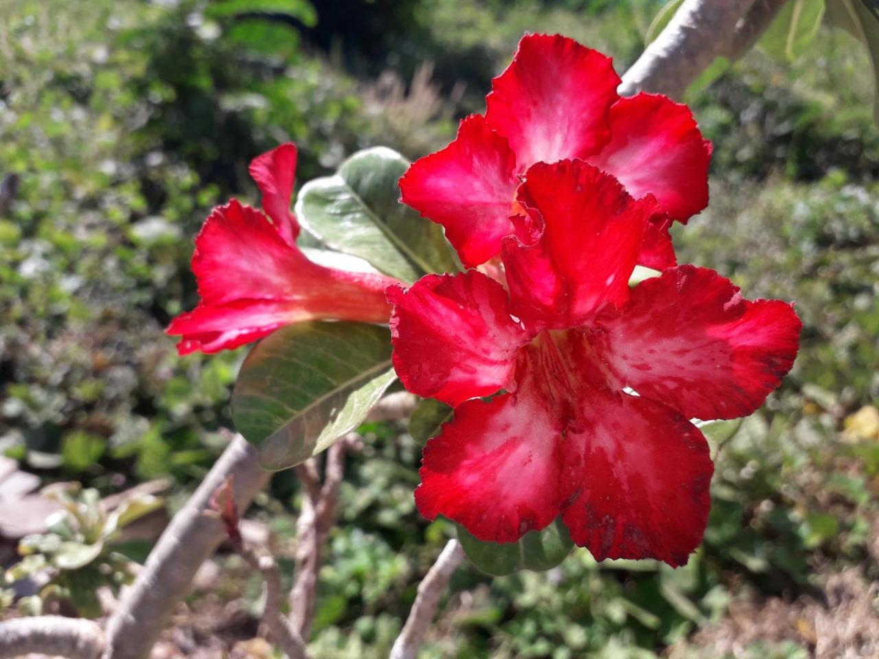 Lanta Lucky House Hotel Ko Lanta Eksteriør billede